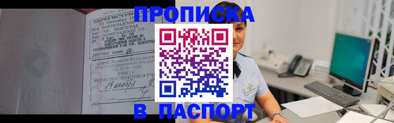 найти адрес прописки в Борзе